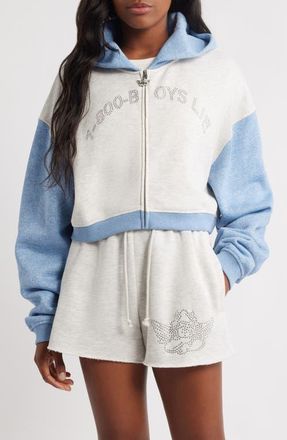 Boys Lie 1-800 Alex Colorblock Zip Crop Hoodie in Grey at Nordstrom, Size X-Large