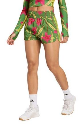 adidas x FARM Rio Pacer Shorts in Crew Green/Magenta/Lime at Nordstrom Rack, Size X-Large