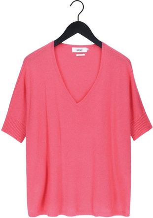 Notshy Dames, Truien, Roze, Maat: S/M Kasjmier
