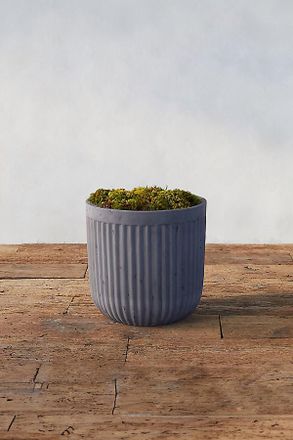 Terrain Fiber Concrete Barrel Pot, 12