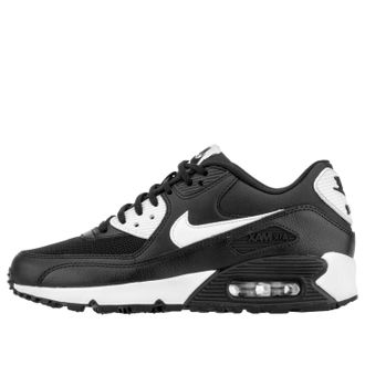 Nike (WMNS) Nike Air Max 90 Essential Metallic Silver 616730-023
