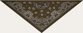 Ferragamo Men Arabesque print triangle scarf Green