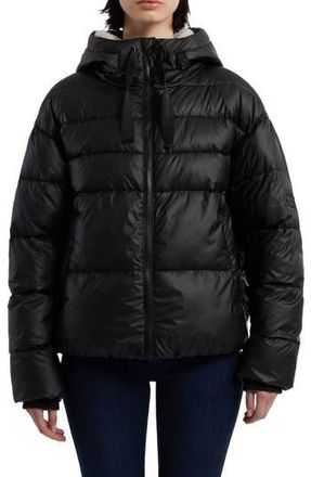 Hunter Admiral Water Repellent Faux Shearling Lined Hooded Crop Puffer Jacket in Black at Nordstrom Rack, Size X-Large