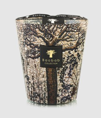 Baobab Bougie Max 16 Sacred Trees Morondo