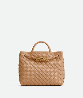 Bottega Veneta Small Andiamo - Bottega Veneta