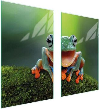 OEM Placa Protectora De Vidrio Para Estufa 75x52 Frog