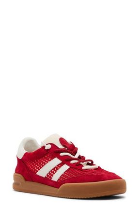 Steve Madden Verdict Sneaker in Red at Nordstrom, Size 5.5
