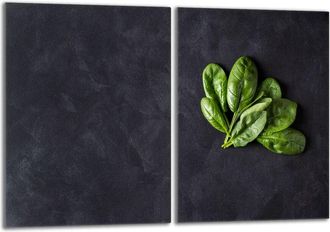 OEM Placa Protectora De Vidrio Para Estufa 2x40x52 Albahaca