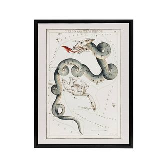 Artery8 Draco & Ursa Minor Constellation Hall Framed Canvas Wall Art Print in White | Size: W24 x H32