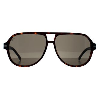 HUGO BOSS Aviator Mens Dark Havana Grey 1507/S - Brown - One Size