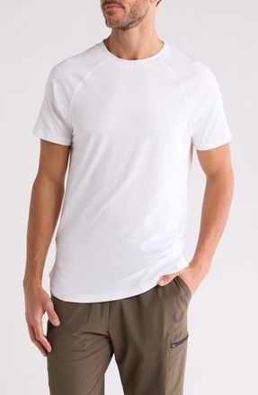 ASRV Established T-Shirt in White at Nordstrom, Size X-Large