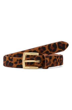 Mango Leopard Print Calf Hair Belt in Brown at Nordstrom, Size Medium