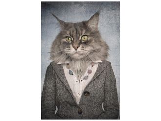 Schubiger M&ouml;bel Digitaldruck auf Glas Katzenfrau