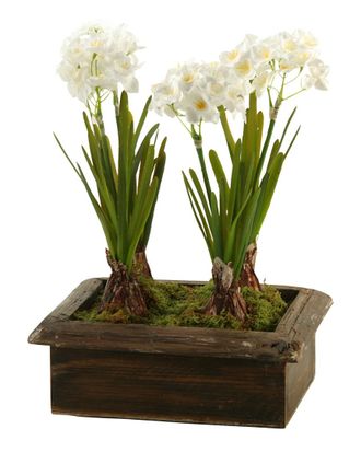 D&W Silks Paperwhites In Rectangle Wood Planter Box