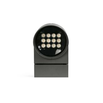 Netlighting Muur 250 Dark Grey Projector Lamp 28.5W 3000K IP65