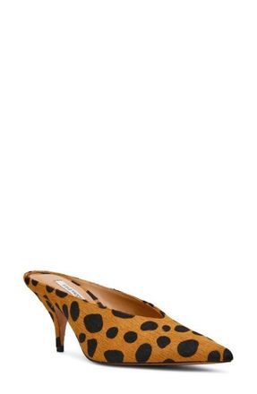 Steve Madden Fonza Pointed Toe Mule in Spot Leopard at Nordstrom, Size 8.5