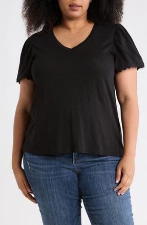 Caslon Scallop Trim T-Shirt in Black at Nordstrom Rack, Size 2X