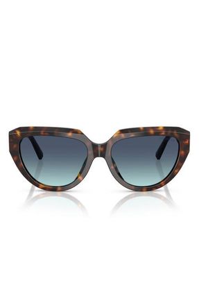 Tiffany & Co. 55mm Pillow Sunglasses in Havana /Azure Gradient Blue at Nordstrom