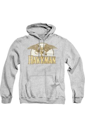 Gildan DC Comics Fly By Adult Pull Over Hoodie / Hooded Sweatshirt