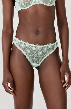 Etam Daisy Embroidered Thong in Celadon at Nordstrom Rack, Size Xx-Large