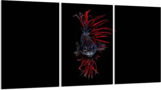 OEM Placa Protectora De Vidrio Para Estufa 3x30x52