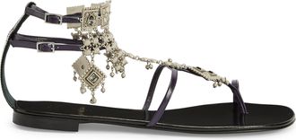 Giuseppe Zanotti Amira