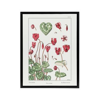 Artery8 Cyclamen Flower Framed Canvas Wall Art Print Vintage Floral Verneuil in White | Size: W24 x H32