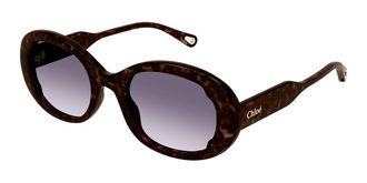 Chloé CH0197SA Asian Fit 002 Womens Sunglasses Tortoiseshell Size 54