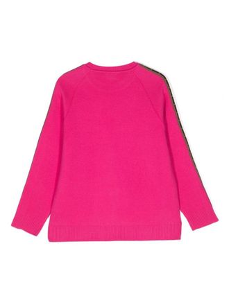Fendi Harmony Sweater - Pink