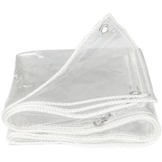 OEM Lona Protectora, Lona Transparente Reforzada De 350 G/m2, 2 X 3 M