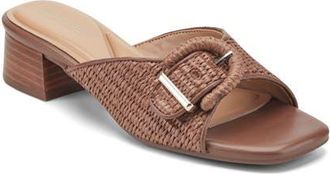 Easy Spirit Rosalind Slide Sandal in Dark Brown at Nordstrom, Size 9.5