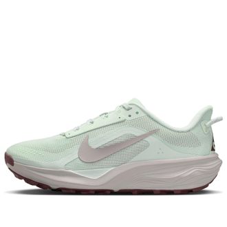 Nike (WMNS) Nike x ACG Pegasus Trail Barely Green Light Bone HV8121-302