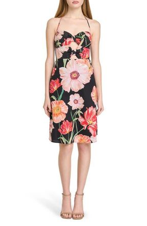 Wayf In Bloom Cutout Detail Halter Neck Stretch Cotton Dress in Black Poppies at Nordstrom, Size X-Large