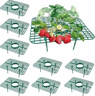 No Brand Un Conjunto De 10 Enrejados Para Fresas Adultas, Soportes Para Plantas Y P&eacute;rgolas De Jard&iacute;n Con 4 Patas Para Evitar La Aparici&oacute;n De Babosas Y La Pudri