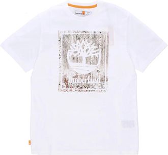 Timberland Uomo, Top, Bianco, L, new