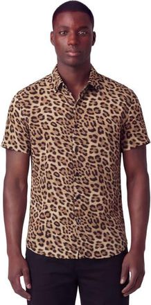 Lords of Harlech Leopard Mens Merino Wool Button-up Shirt in Leopard Brown at Nordstrom, Size Xx-Large