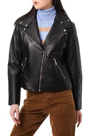 Bernardo Lambskin Leather Moto Jacket in Black at Nordstrom Rack, Size Medium