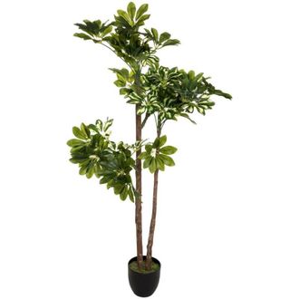Atmosphera Atmosphera - Schefflera artificiale h130cm cr&eacute;ateur dint&eacute;rieur