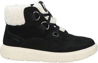 Sorel EXPLORER