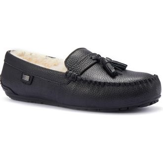 Australia Luxe Hamilton Genuine Shearling Lined Tassel Loafer in Crow at Nordstrom Rack, Size 10