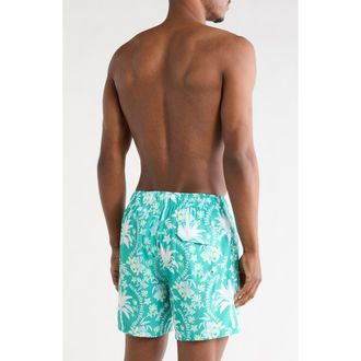 Vintage Summer Swimwear Palms Floral 4 Way Stretch Volley Swim Trunks in Green at Nordstrom Rack, Size Xx-Large