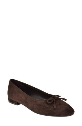 Calvin Klein Cyrie Bow Embellished Ballet Flat in Dark Brown at Nordstrom, Size 7.5