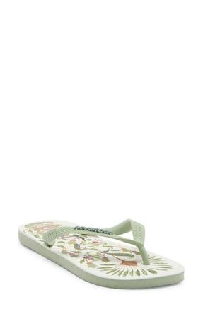 Havaianas Farm Sweet Forest Flip Flop in Smoke Green at Nordstrom, Size 11