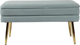 TOV Furniture Tov Furniture Ziva Velvet Storage Bench