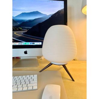 OEM Hive T - L&aacute;mpara De Mesa Moderna - Capullo De Vidrio