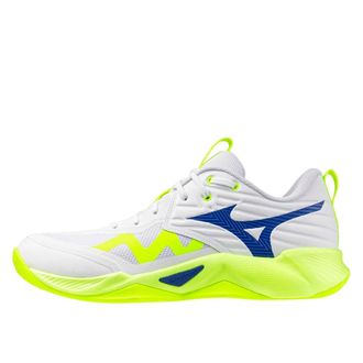 Mizuno Heren, Schoenen, Veelkleurig, Maat: 44 EU