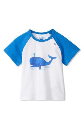 Hatley Kids Spouting Whale Graphic Baseball T-Shirt in White at Nordstrom, Size 3T