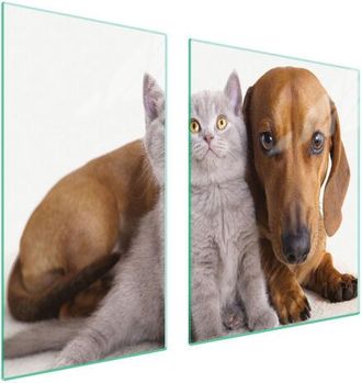 OEM Placa Protectora De Vidrio Para Estufa 90x52 Animales