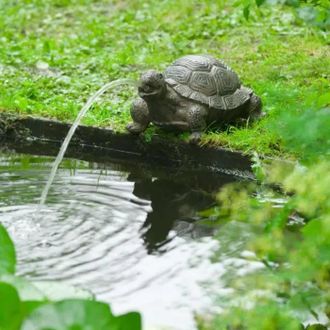 Ubbink Ubbink Fuente De Jard&iacute;n Con Chorrito Tortuga
