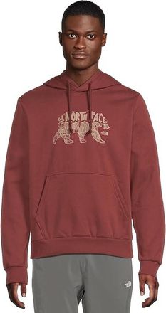The North Face Evolution TNF Bear Hoodie Graphic Mens Sweatshirt Sumac : 2XL, Cotton/Polyester